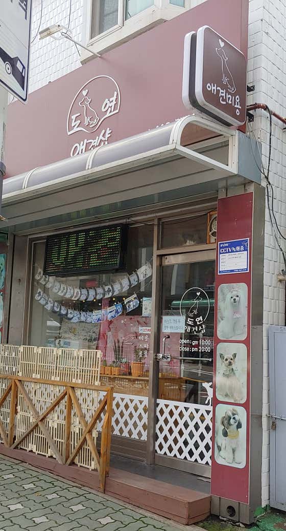 도연애견샵 · 네이버 지도·플레이스 3
