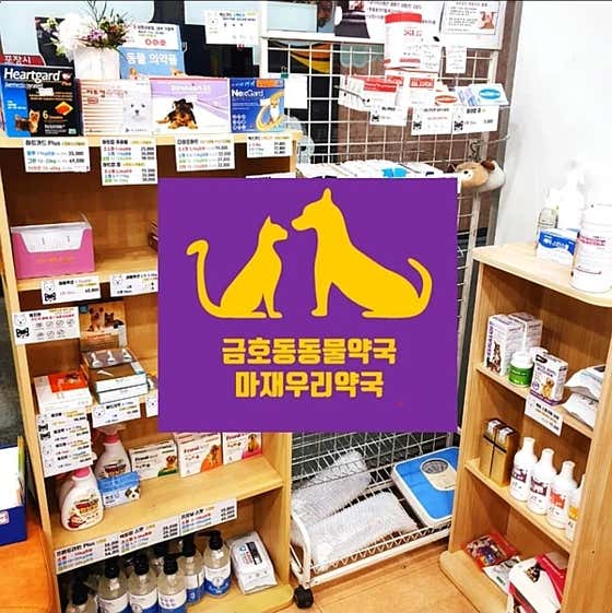 금호동동물약국