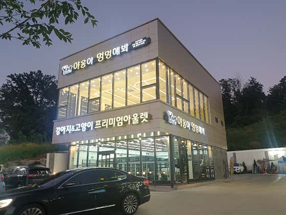 야옹아멍멍해봐 송파위례점