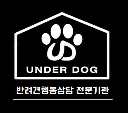 네이버 플레이스 언더독스쿨 : 네이버