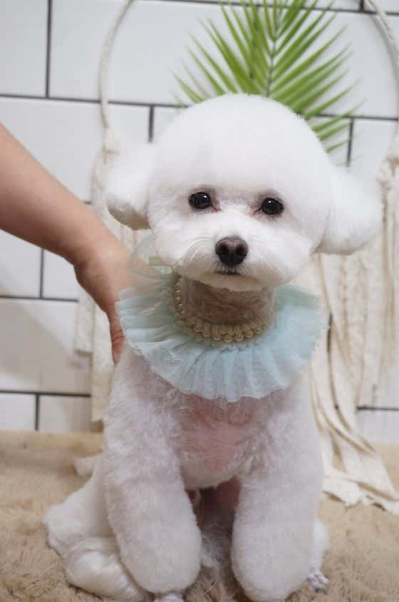 핫dog · 네이버 지도·플레이스 8