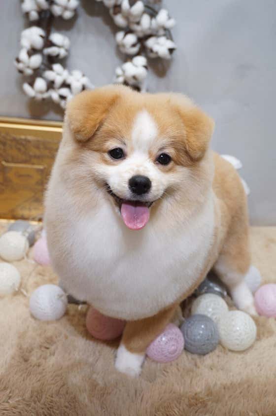 핫dog · 네이버 지도·플레이스 10
