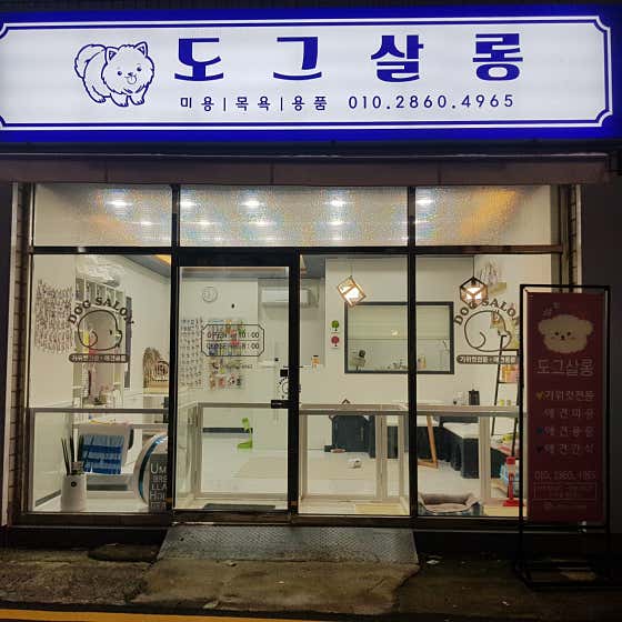 도그살롱 · 네이버 지도·플레이스 2