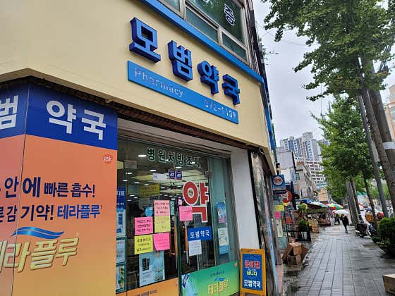 모범약국