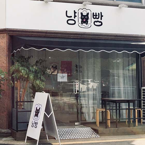 냥빵