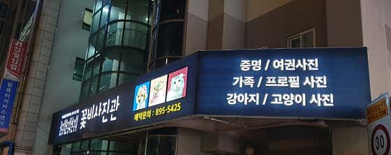 꽃비사진관