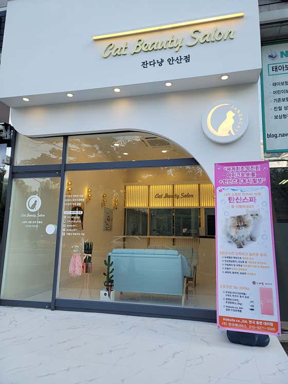 잔다냥 안산점 · 네이버 지도·플레이스 3