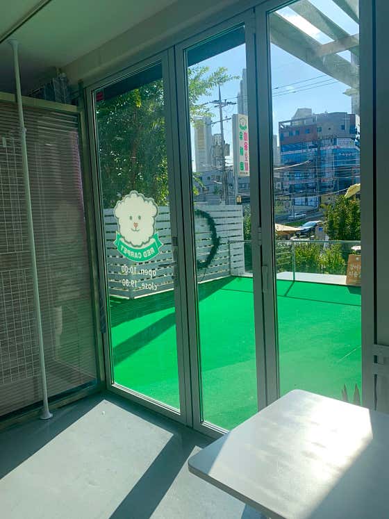 레드카펫 · 네이버 지도·플레이스 5
