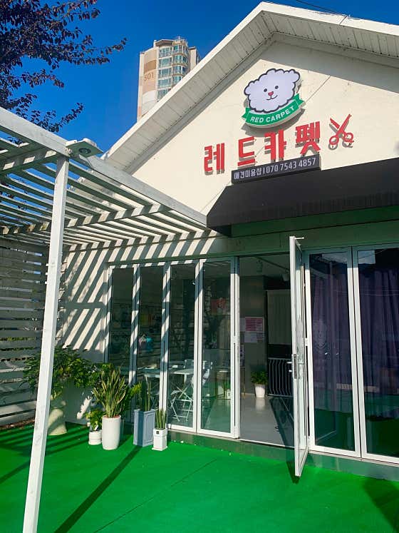 레드카펫 · 네이버 지도·플레이스 3