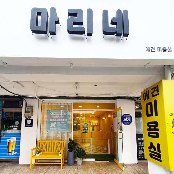 마리네 애견미용실 대표이미지