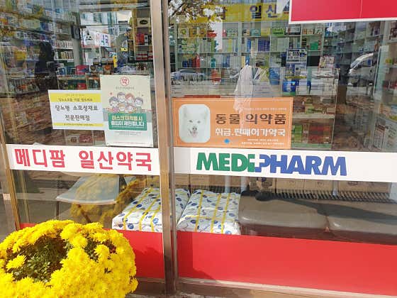 메디팜일산약국