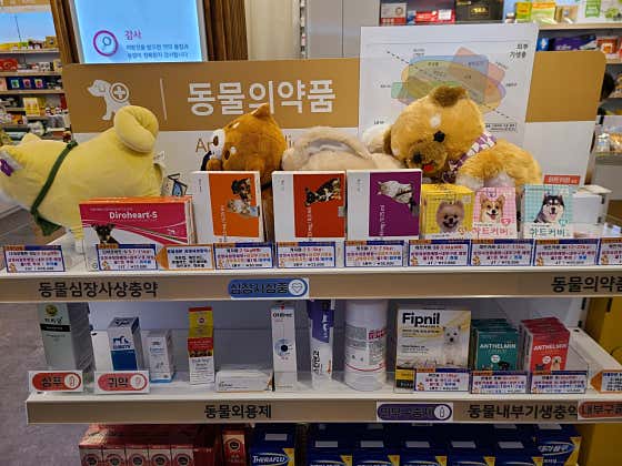 가양누리약국 · 네이버 지도·플레이스 2