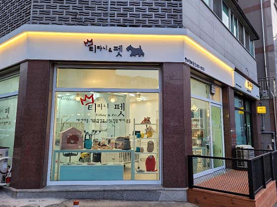 티파니펫 대표이미지