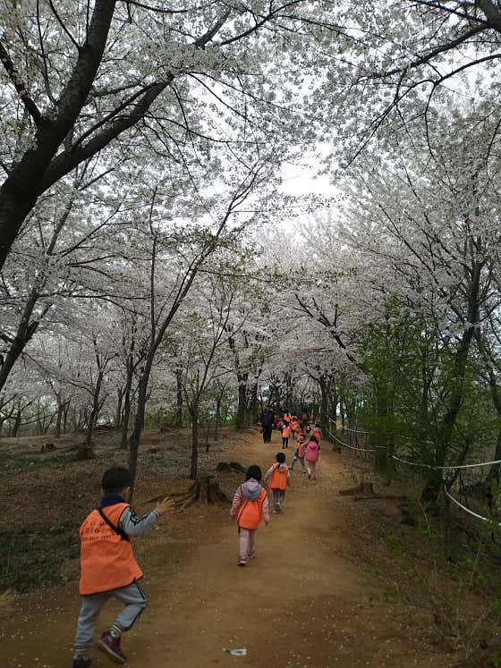 큰다우리 발도르프어린이집