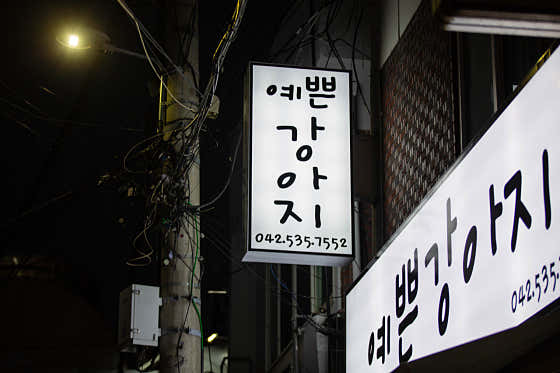 예쁜강아지