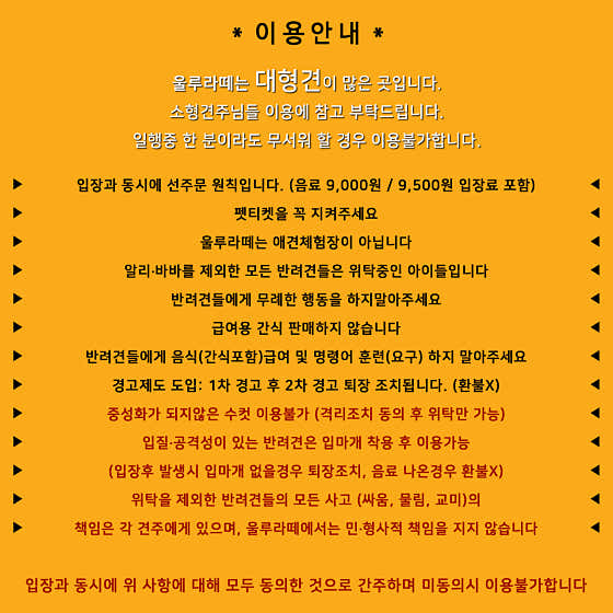 울루라떼