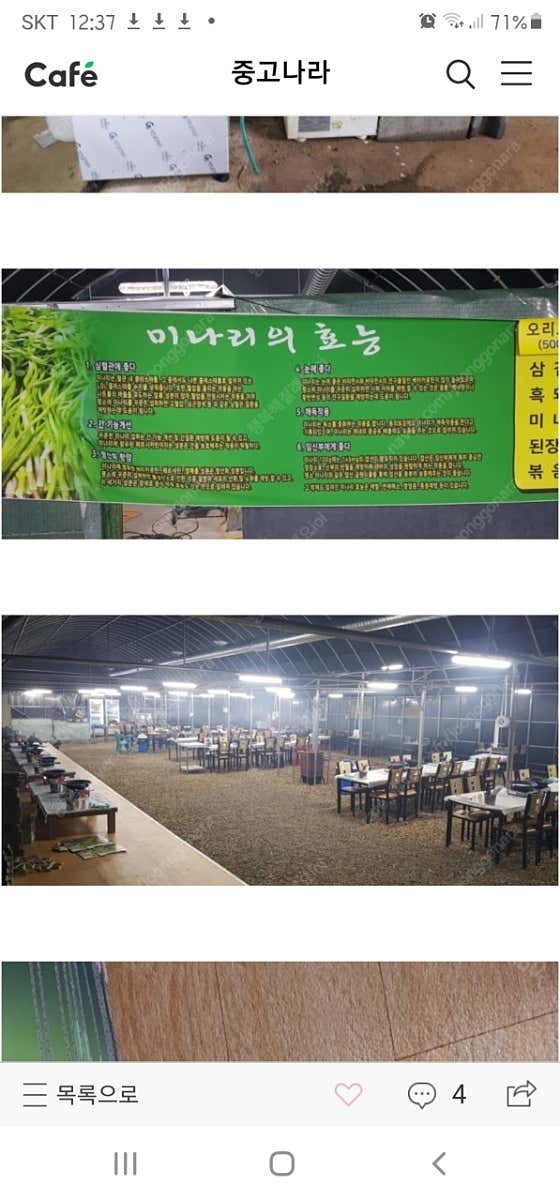 보경사미나리