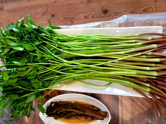 명품 한재미나리 (한접시 500g) 메뉴 사진(네이버)