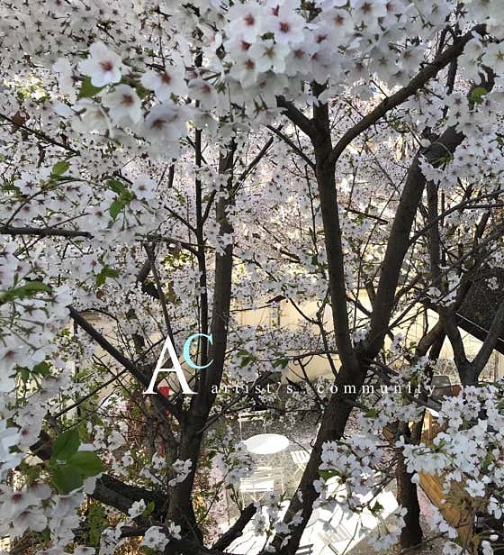 아크 · 네이버 지도·플레이스 1