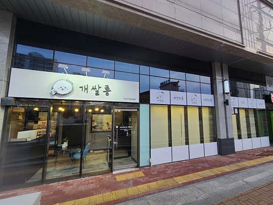 개쌀롱
