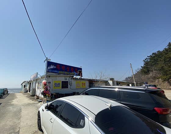 해물칼국수/회/매운탕 메뉴 사진(네이버)