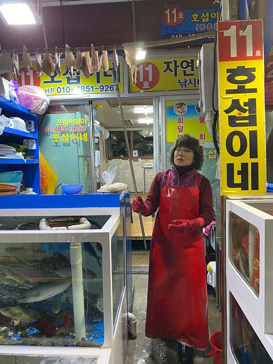 설악항 호섭이네 11호