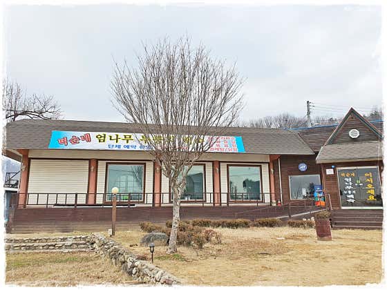떡순네엄나무백숙