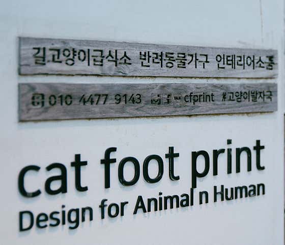 고양이발자국 · 네이버 지도·플레이스 3
