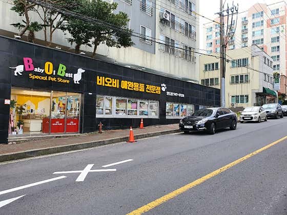 비오비애완용품점