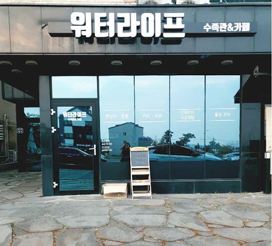 네이버 플레이스 워터라이프 : 네이버