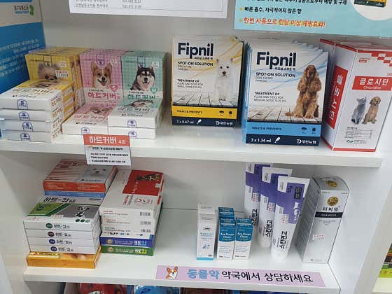 새빛약국 · 네이버 지도·플레이스 3