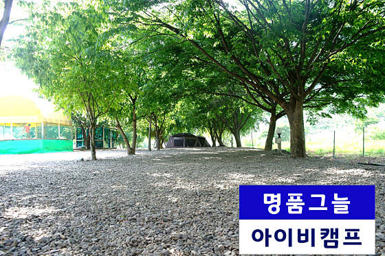아이비 오토캠핑장 대표이미지