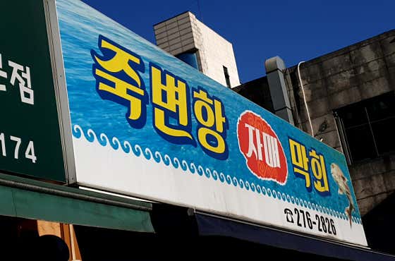 죽변항자매막회 사진 2