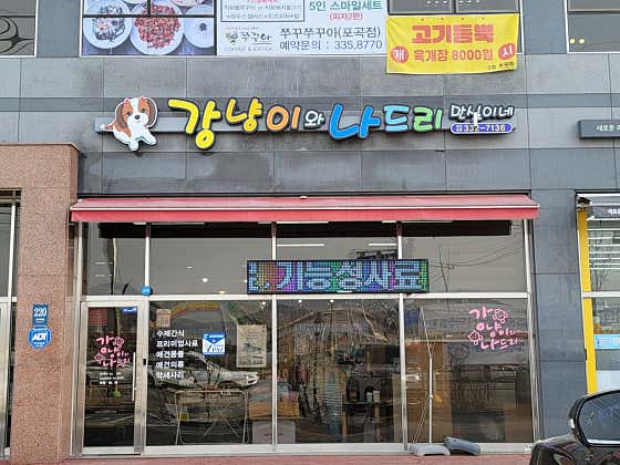 강냥이와나드리