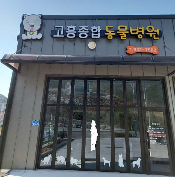 고흥종합동물병원