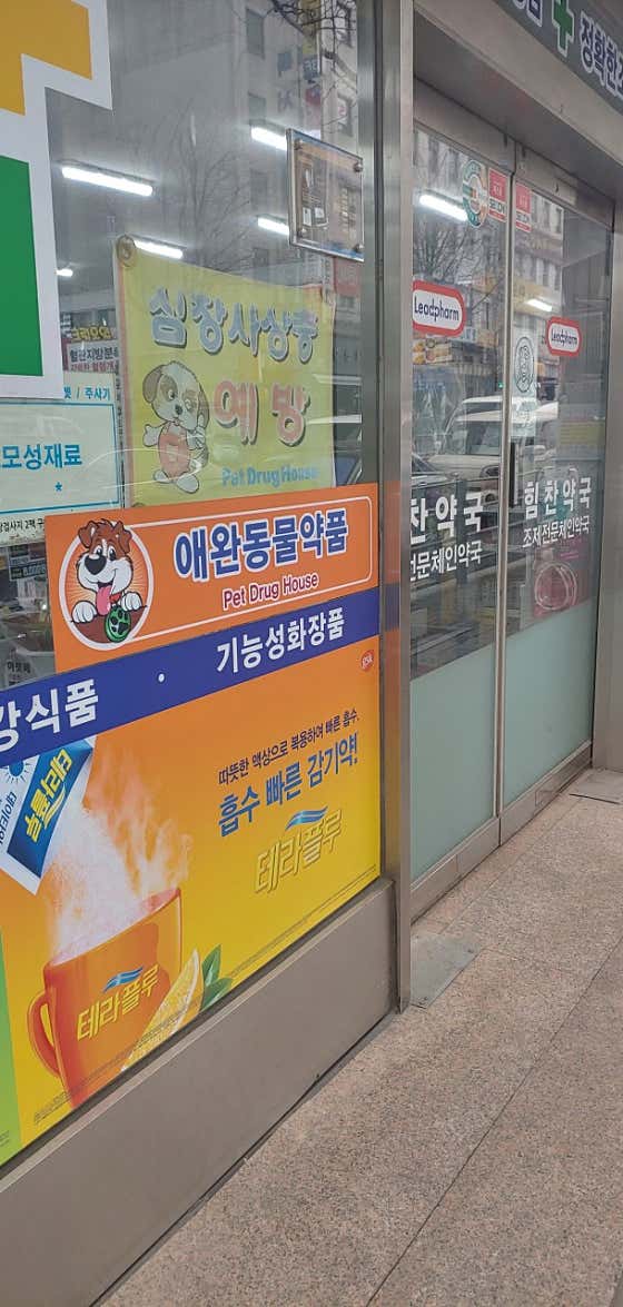 리드팜 힘찬약국 · 네이버 지도·플레이스 8
