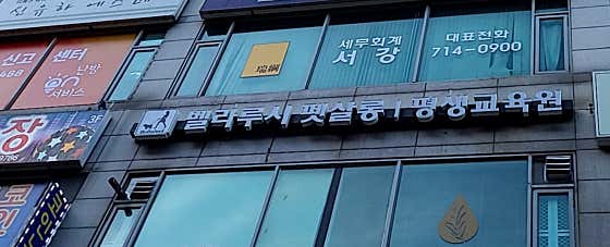 벨라루시펫살롱 · 네이버 지도·플레이스 8