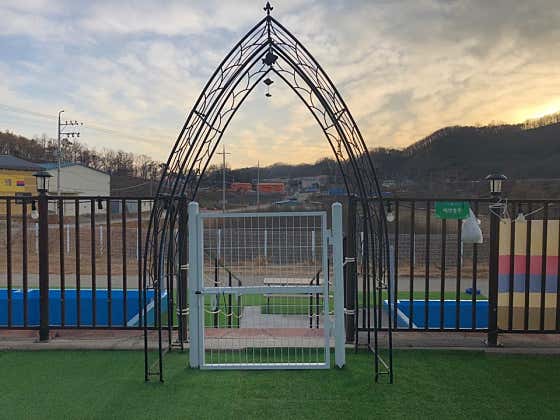 포인트랜드