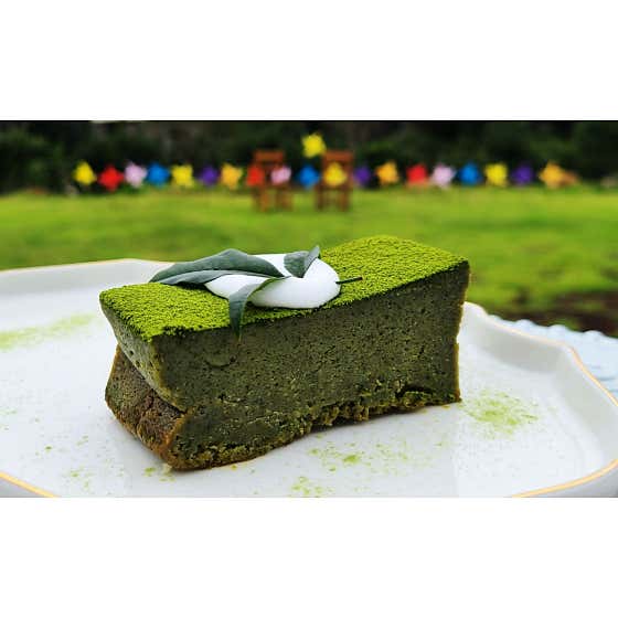 말차 테린느 메뉴 사진(네이버)