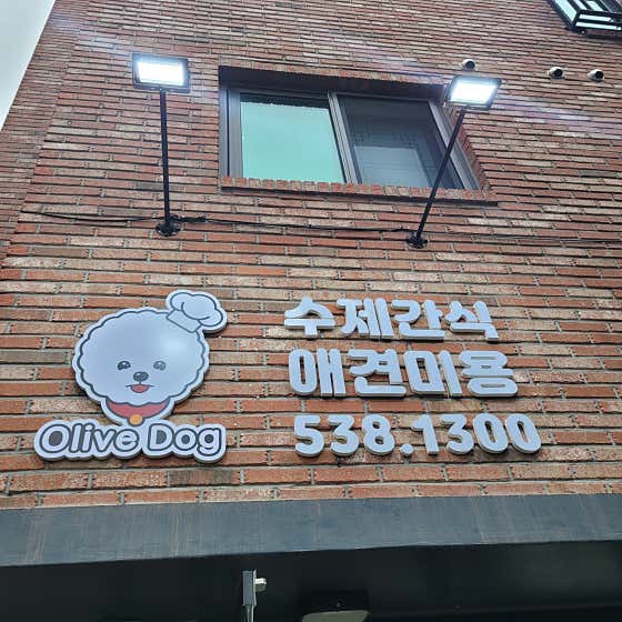 올리브독 · 네이버 지도·플레이스 2