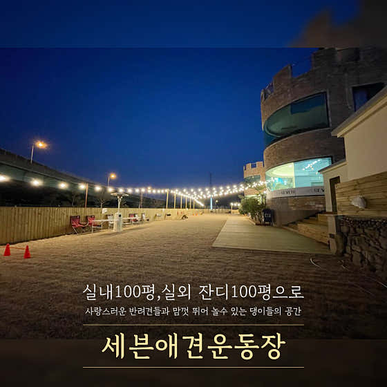 세븐애견카페 애견호텔 · 네이버 지도·플레이스 3