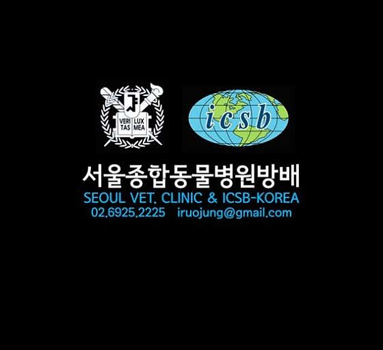 서울종합동물병원방배 대표이미지