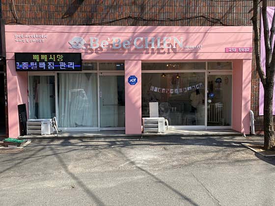 베베시앙 애견미용
