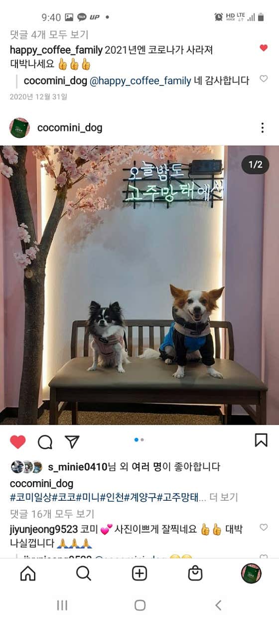 고주망태 · 네이버 지도·플레이스 8