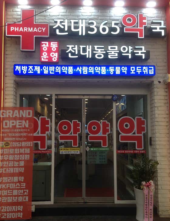 전대365약국