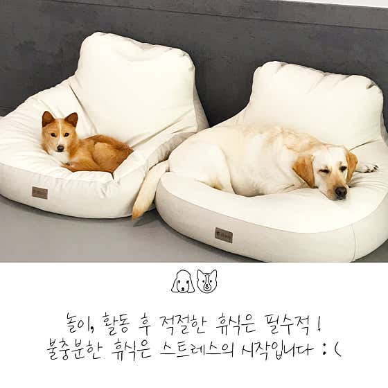 이씨네복덕방 애견유치원 · 네이버 지도·플레이스 4