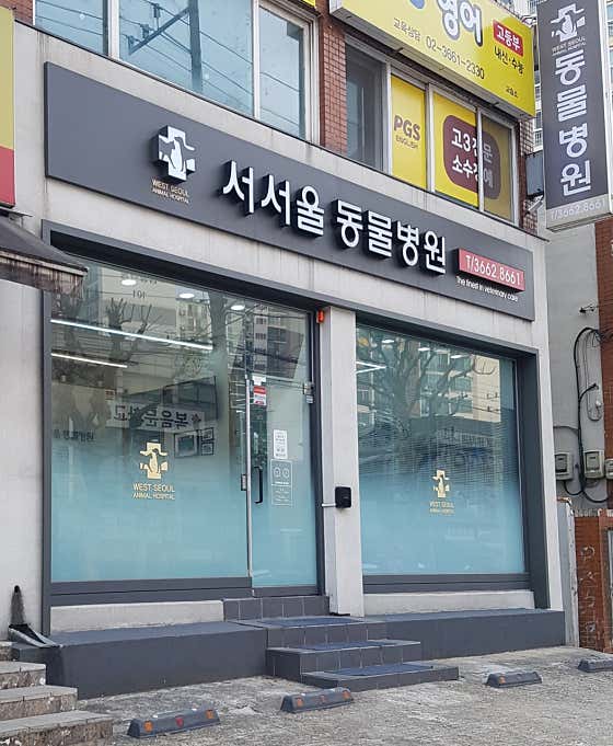 서서울동물병원 대표이미지