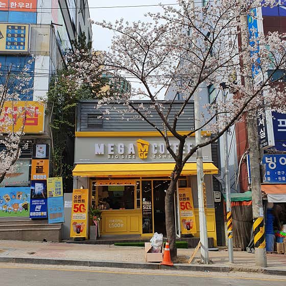 메가MGC커피 광주금호종원점