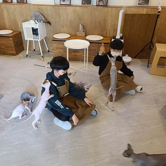 네이버 플레이스 순복이네 : 네이버
