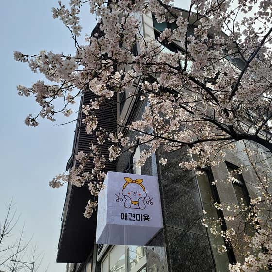 댕글댕글 · 네이버 지도·플레이스 3